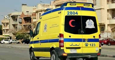 الشرطة تحقق في سقوط رجل من مبنى أثناء فراره من تهديد كلب في الجيزة