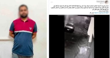 القبض على رجل لقتله قطة لإخافة ابنته في الغربية